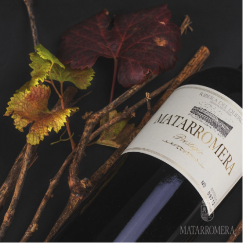 Bodegas Matarromera